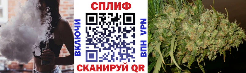 Бошки марихуана семена  OMG ONION  Орёл 